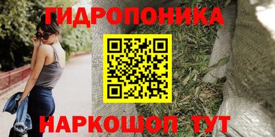 бошки Краснознаменск