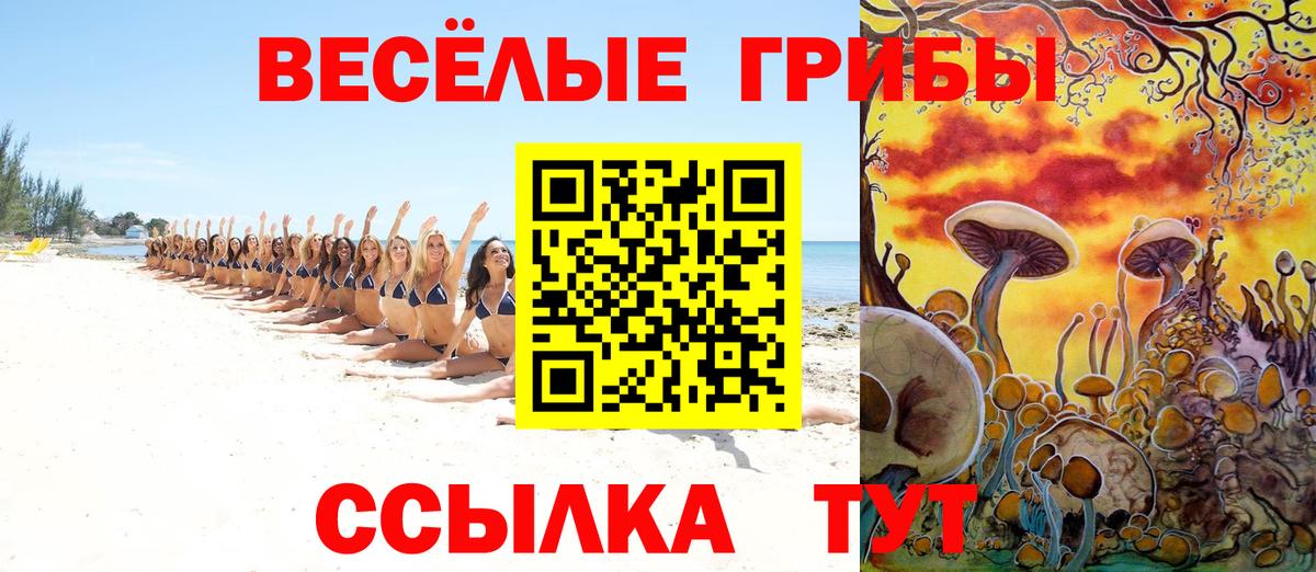 Псилоцибиновые грибы Psilocybe  Вход с VPN  Галлюциногенные грибы прущие грибы  Кисловодск 